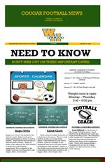 NewsletterIcon 